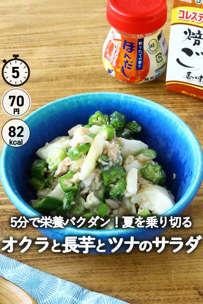 オクラと長芋とツナのねばとろサラダ