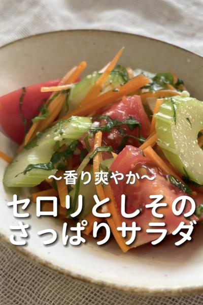 \香り爽やか♡/
【セロリとしそのさっぱりサラダ】