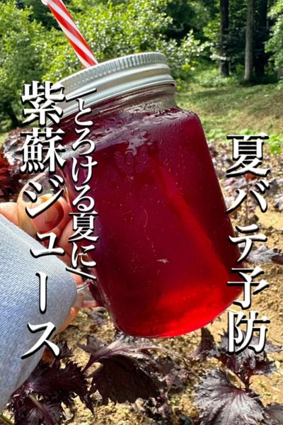 \暑い夏を乗り切るために/【紫蘇ジュース】