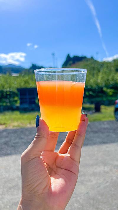 簡単に作れる2色ゼリー