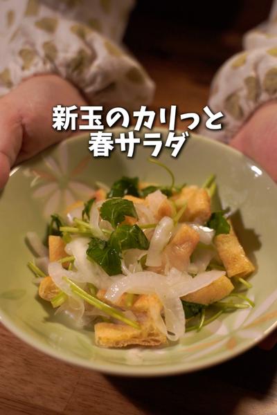 新玉のカリッと春サラダ