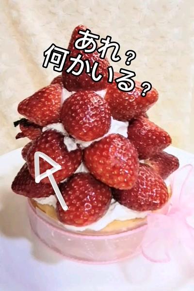 いちごタワー