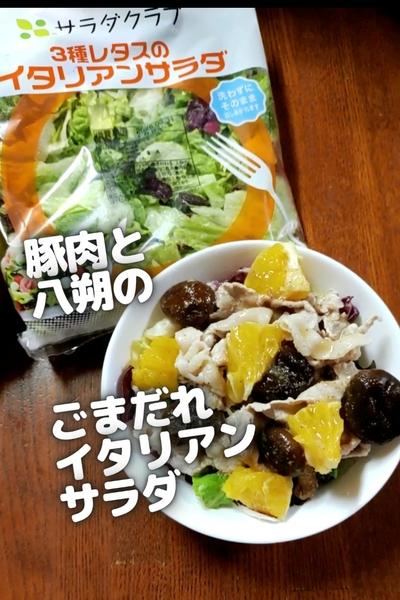 ●豚肉と八朔のごまだれイタリアンサラダ★彩り美味●