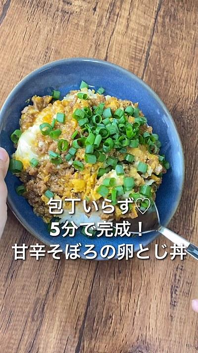 甘辛そぼろの卵とじ丼