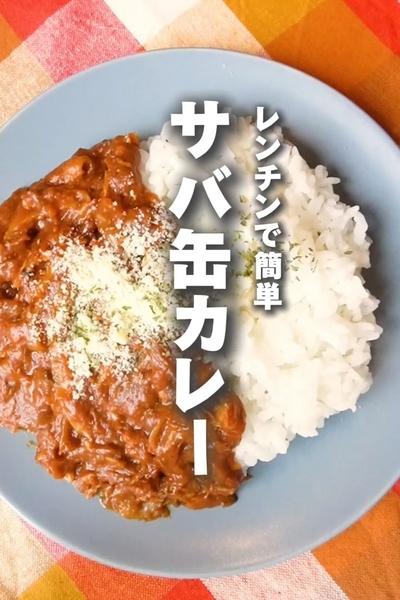 栄養満点！【太らないサバカレー】