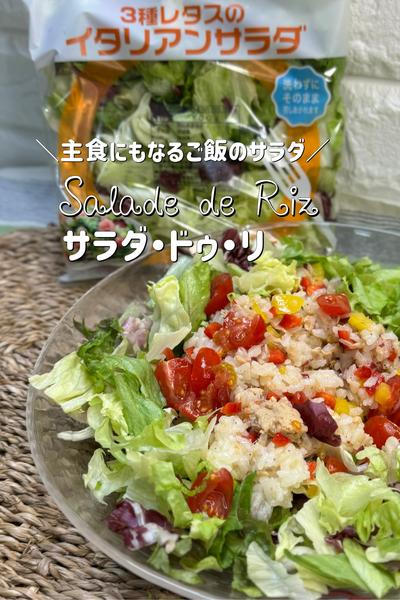 サラダ・ドゥ・リ〜主食にもなるご飯のサラダ
