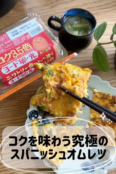 コク旨！スパニッシュオムレツ