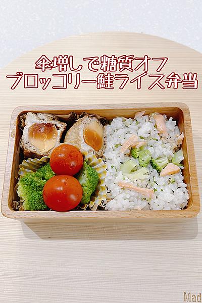2ヶ月で-5kg！ブロッコリーで傘増し鮭ライス弁当