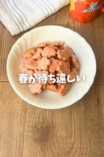さくらクッキー🌸