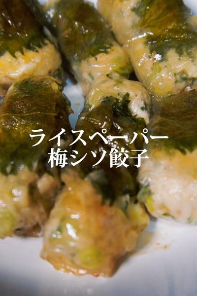 ライスペーパーもちもち梅餃子