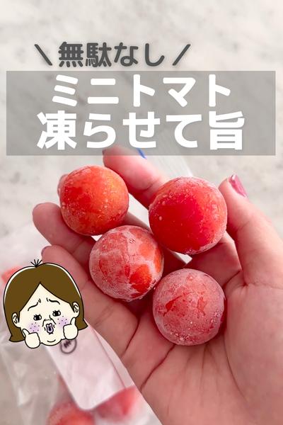 凍らせたら🉐なこと③つ