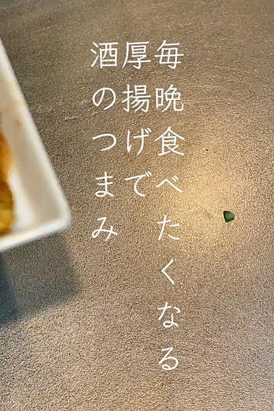 ビールが進む🍺厚揚げのおつまみ