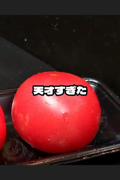ガチ無限トマトの作り方