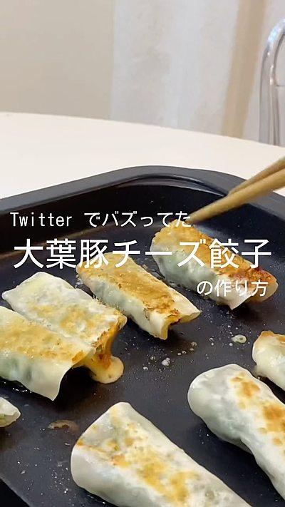 SNSでバズってた話題の餃子🥟【大葉豚チーズ餃子】
