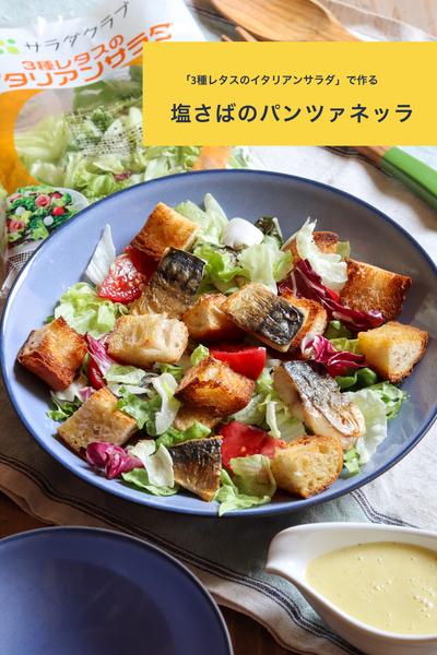 パンで作るイタリアンサラダ・塩さばのパンツァネッラ