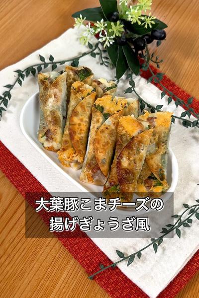 【大葉豚こまチーズの揚げぎょうざ風】