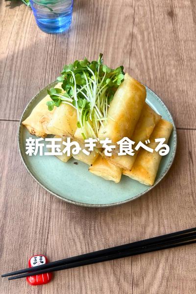 新玉ねぎが美味しい♡春巻き