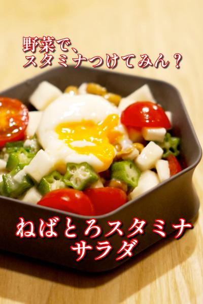 野菜でスタミナつけてみん？ねばとろスタミナサラダ
