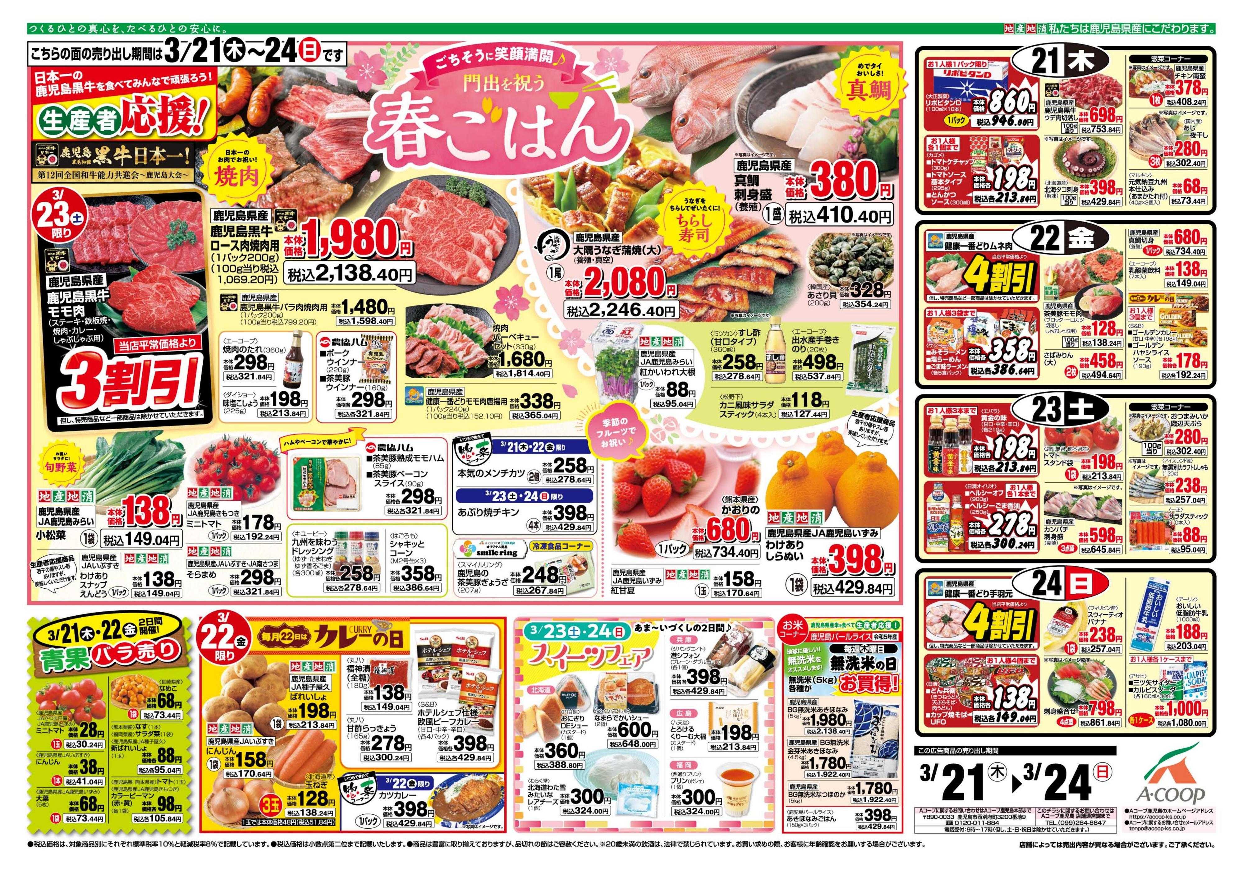 活動歴および当時の関連ビジュアル記録