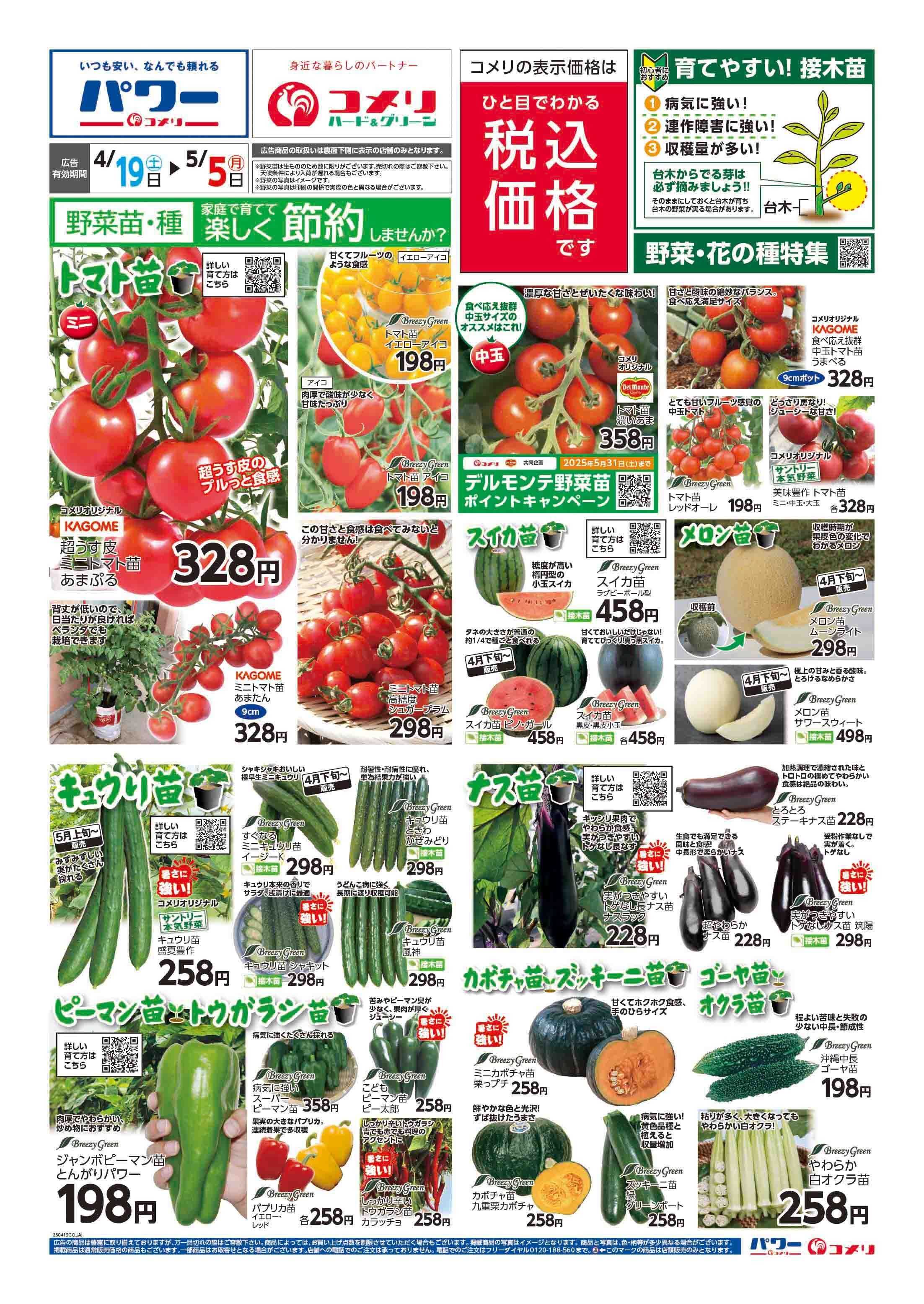 コメリハード＆グリーン 野菜苗チラシ