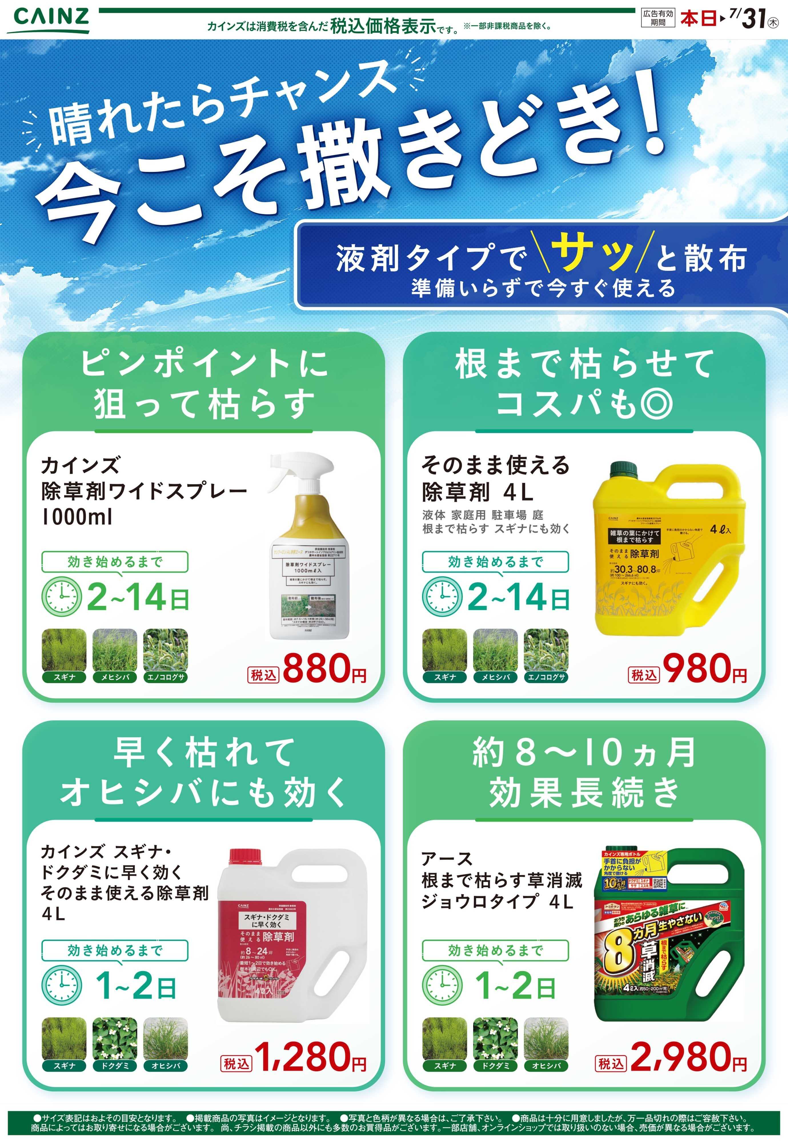 カインズ 晴れたらチャンス。今こそ撒きどき！