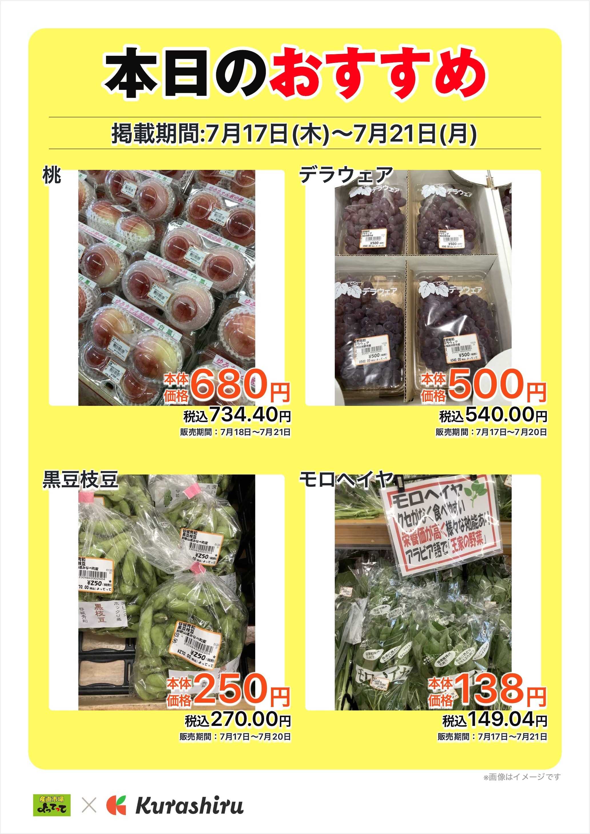 産直市場よってって 本日のおすすめ