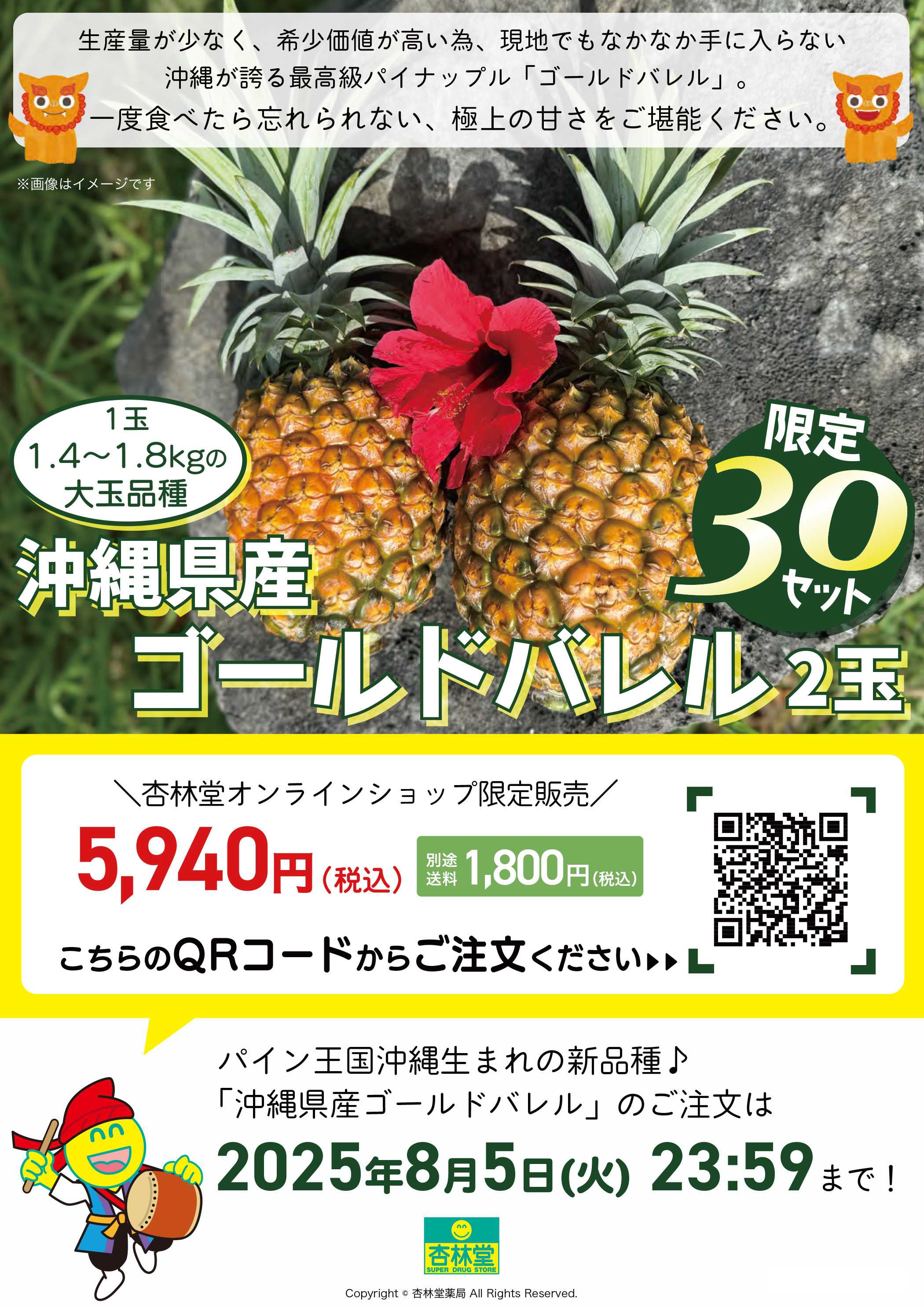 杏林堂 オンラインショップ限定沖縄県産ゴールドバレル