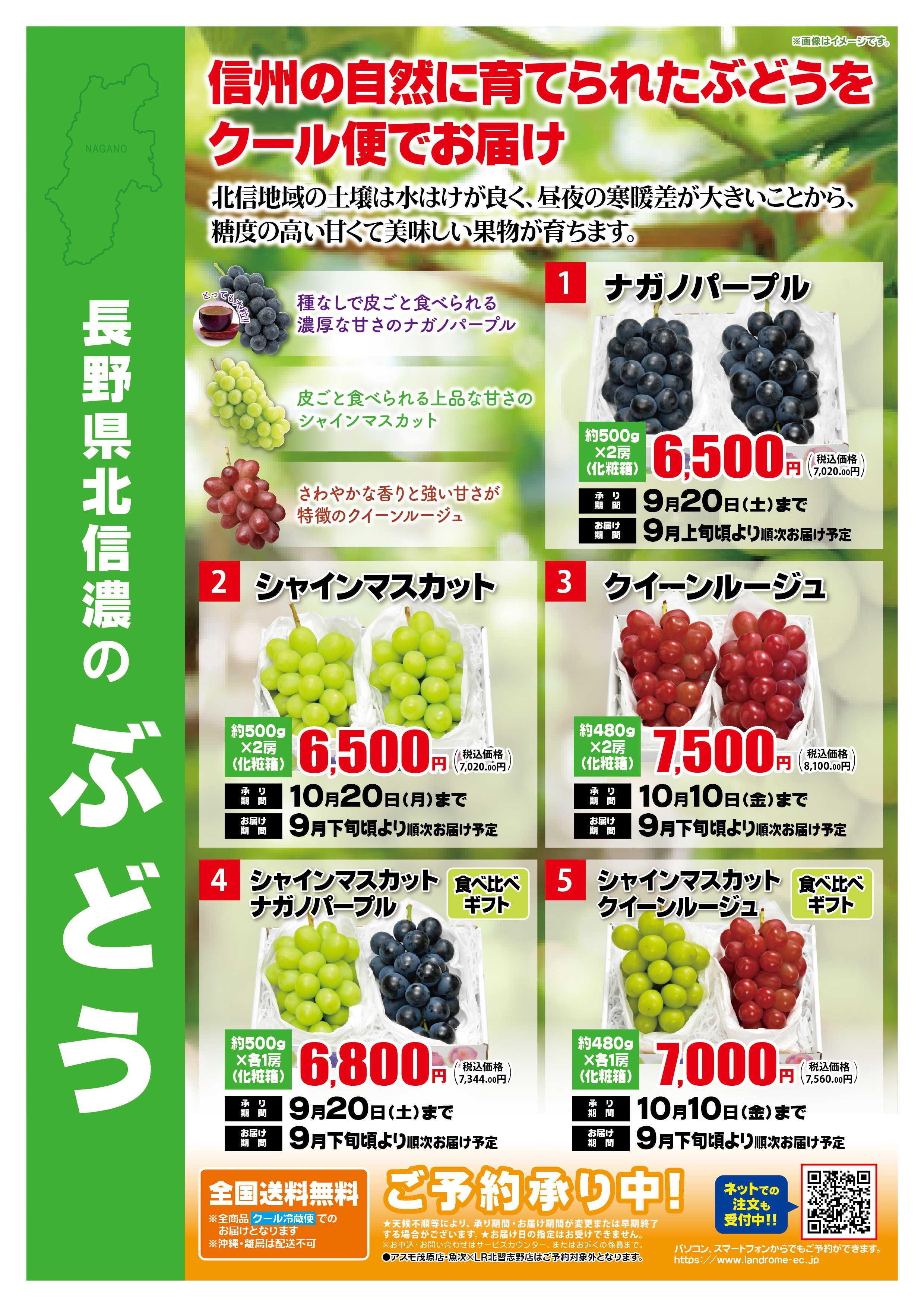 ランドローム 長野県北信濃のぶどう