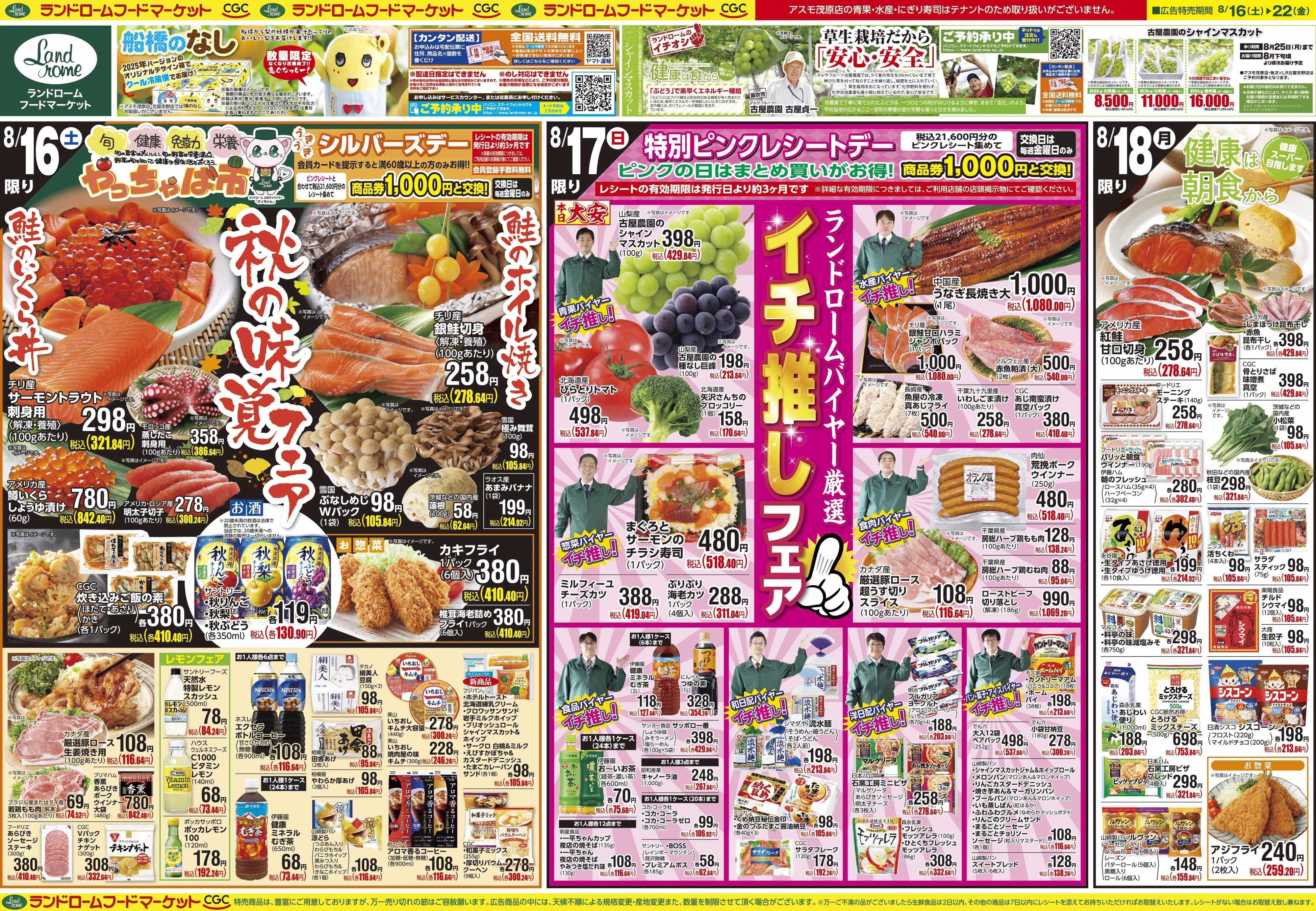 ランドローム 8/16号