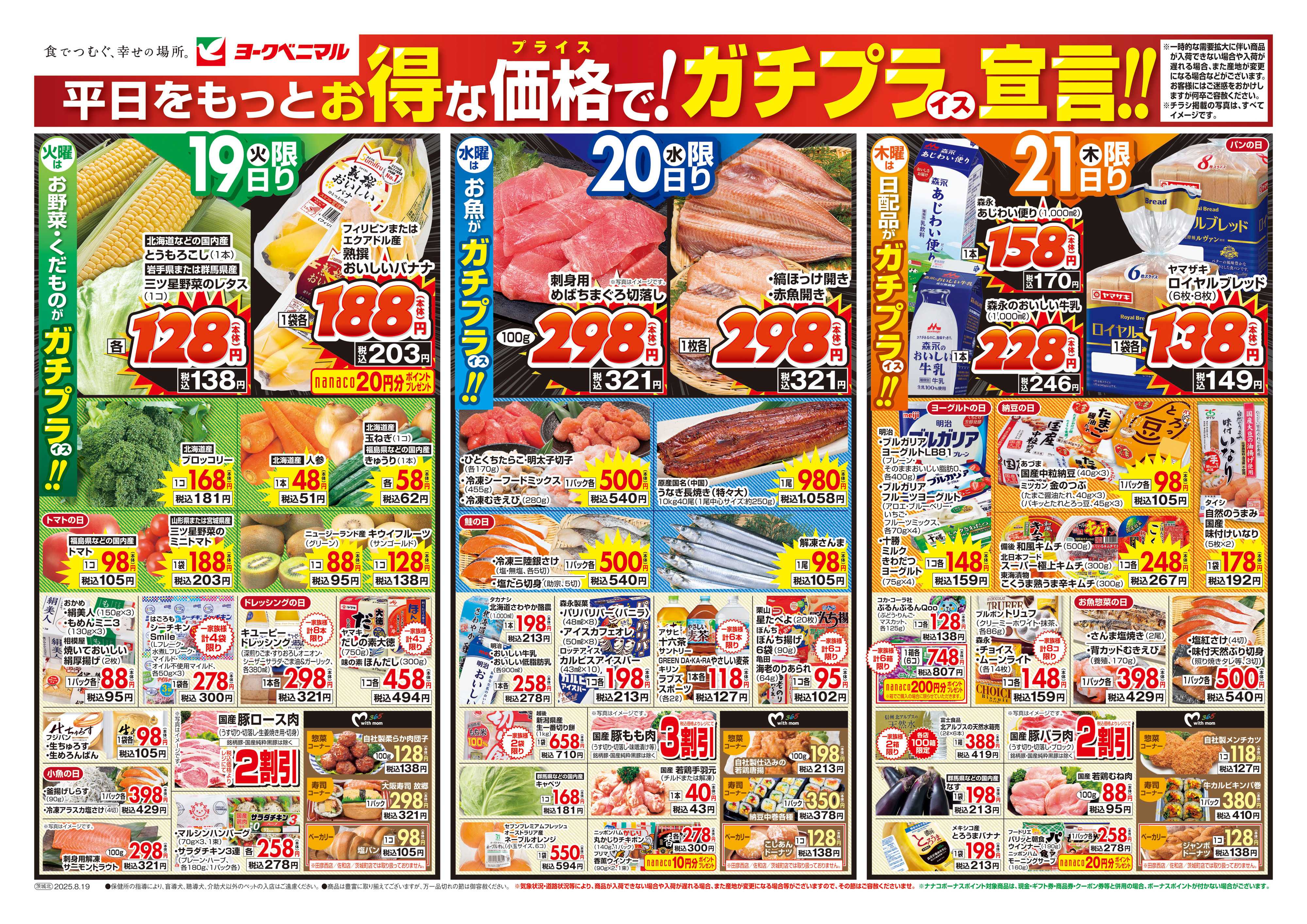 ヨークベニマル 8/19号チラシ