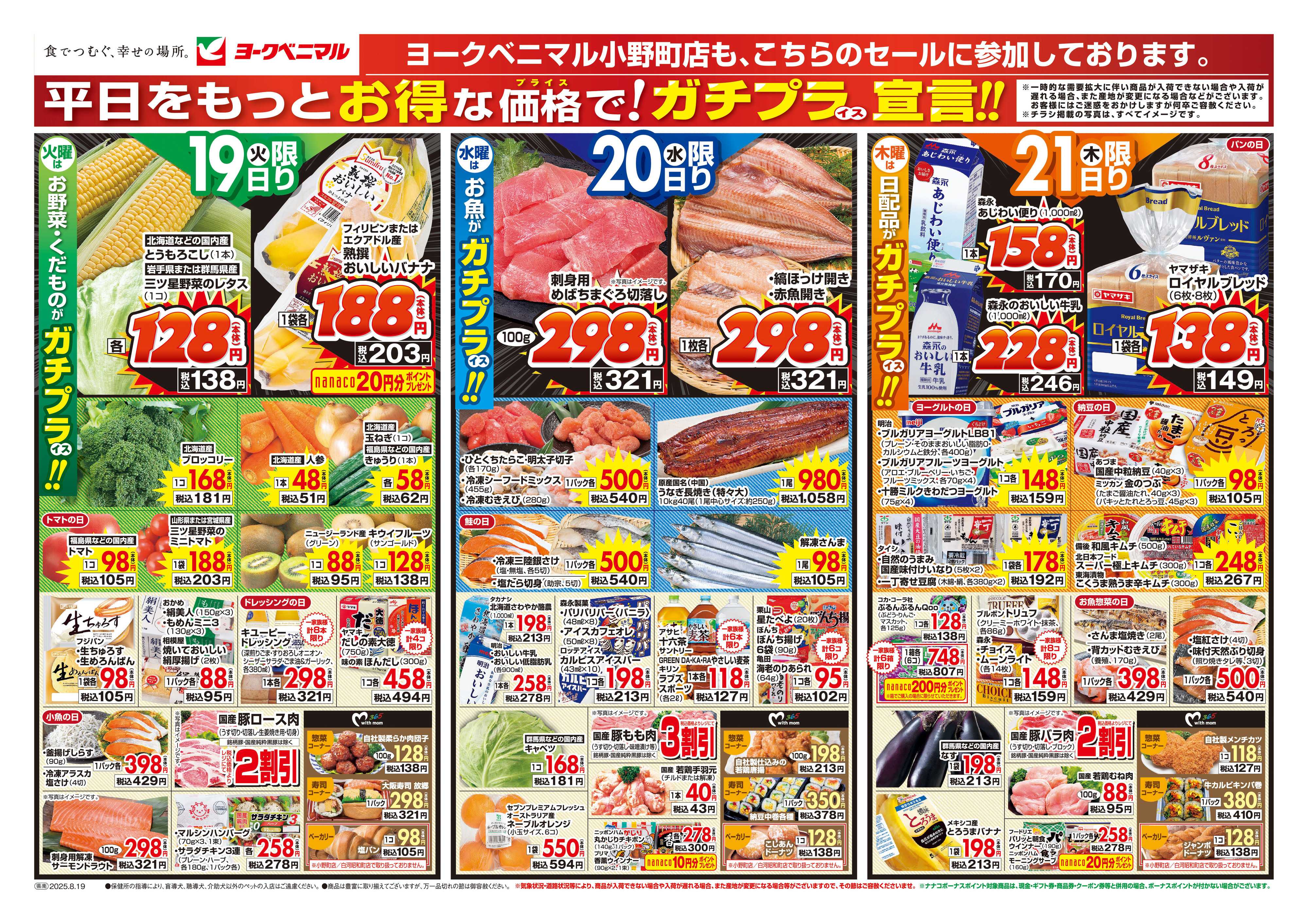 ヨークベニマル 8/19号チラシ
