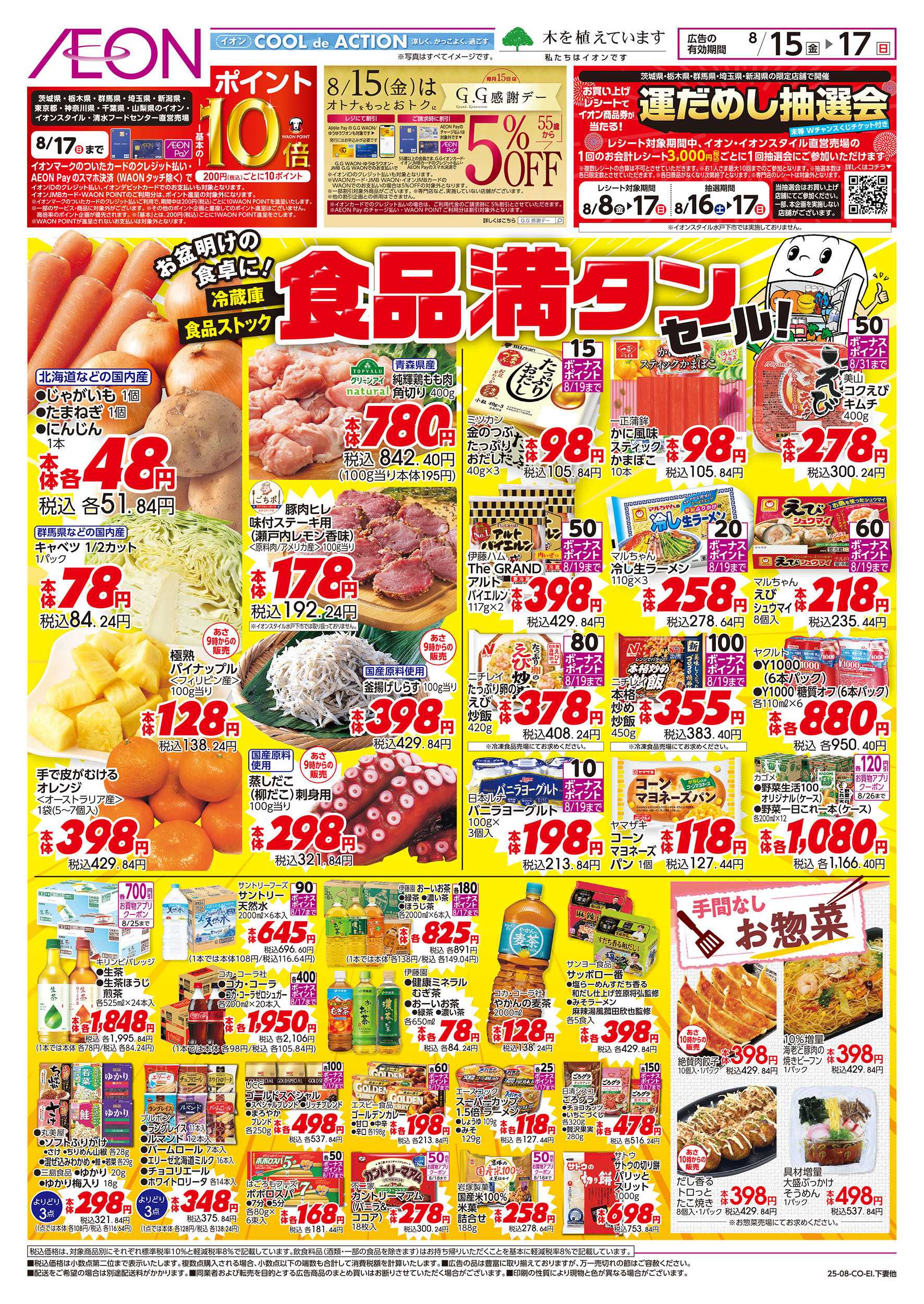 イオン 8/15号　食品満タンセール：表面