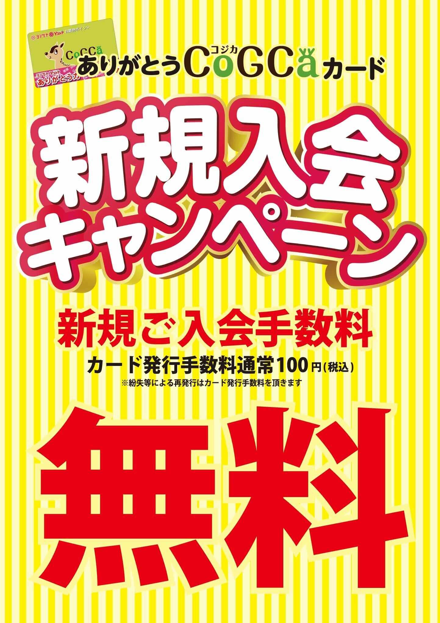 ヨシヅヤ 新規入会キャンペーン　コジカ入会無料