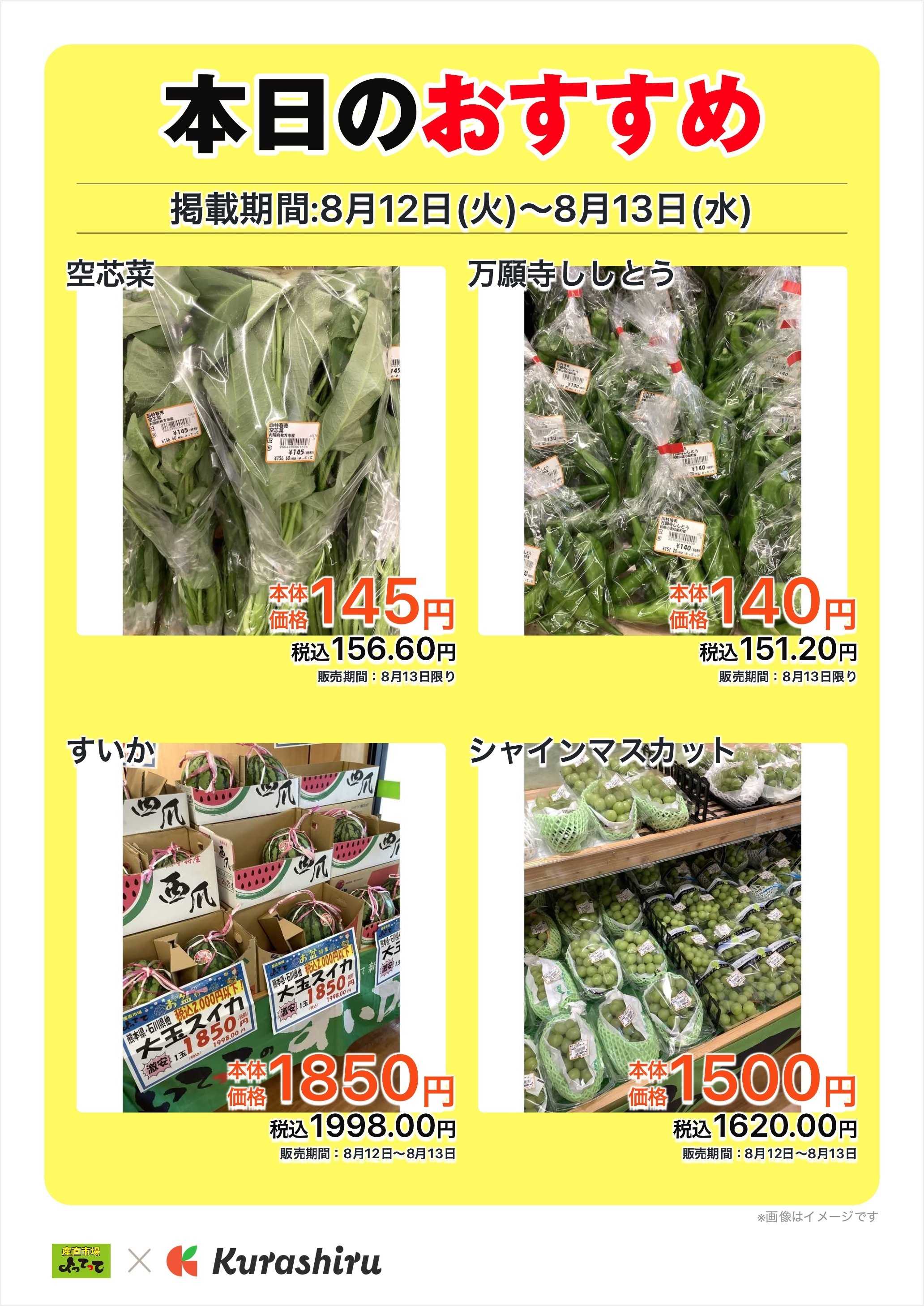 産直市場よってって 本日のおすすめ