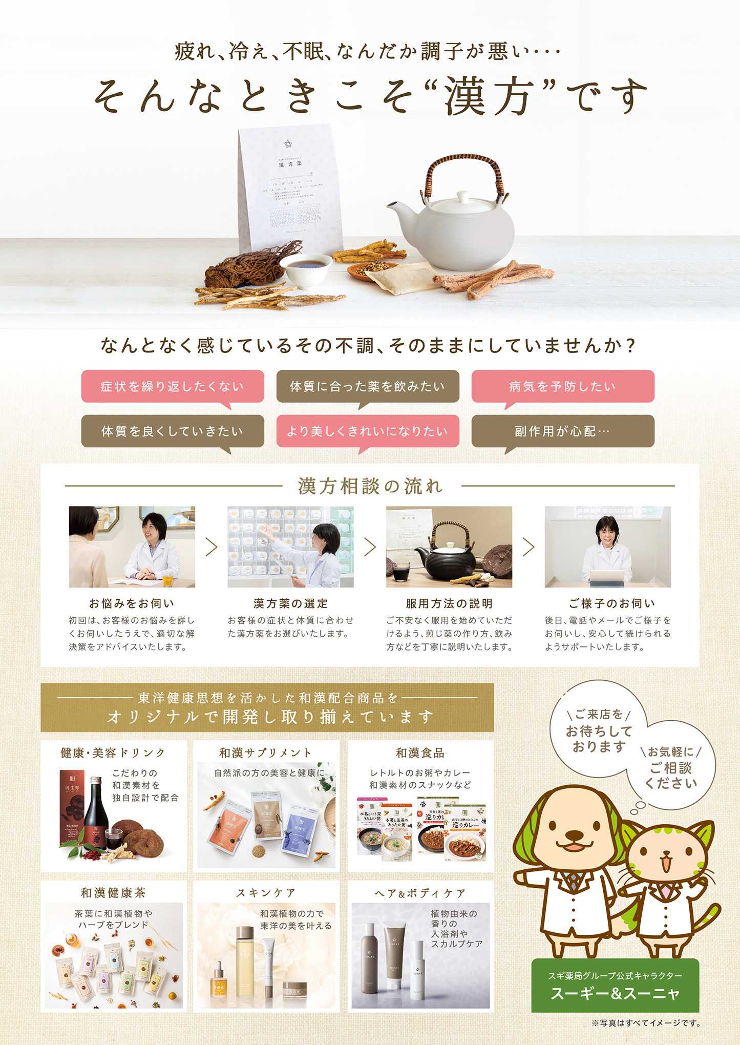 スギドラッグ チラシのご案内