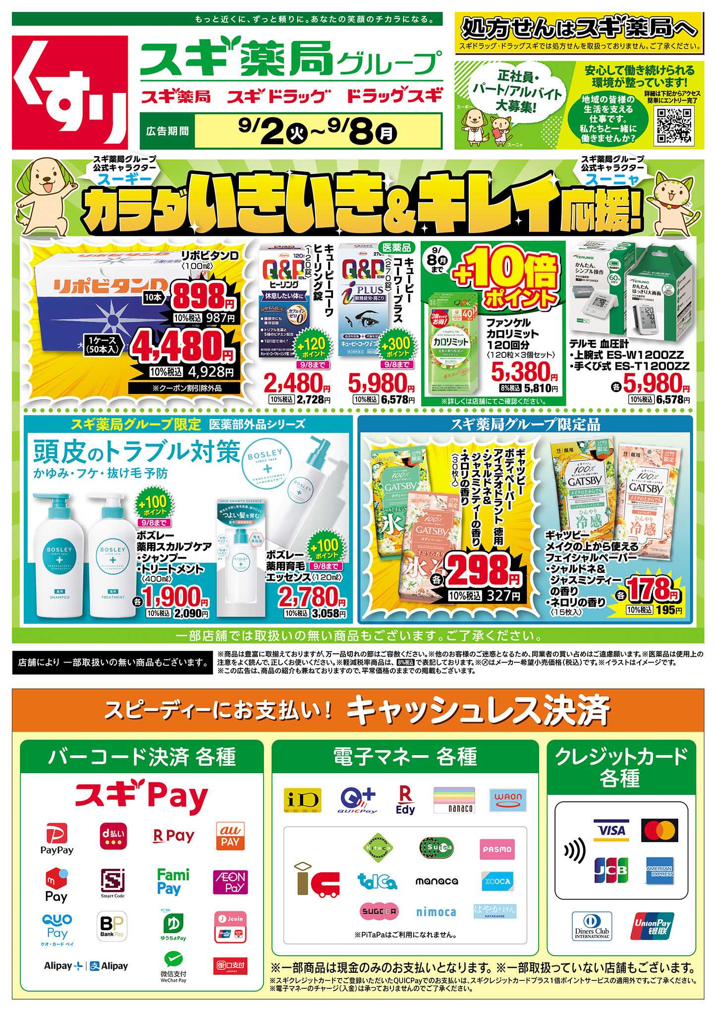 スギドラッグ チラシのご案内