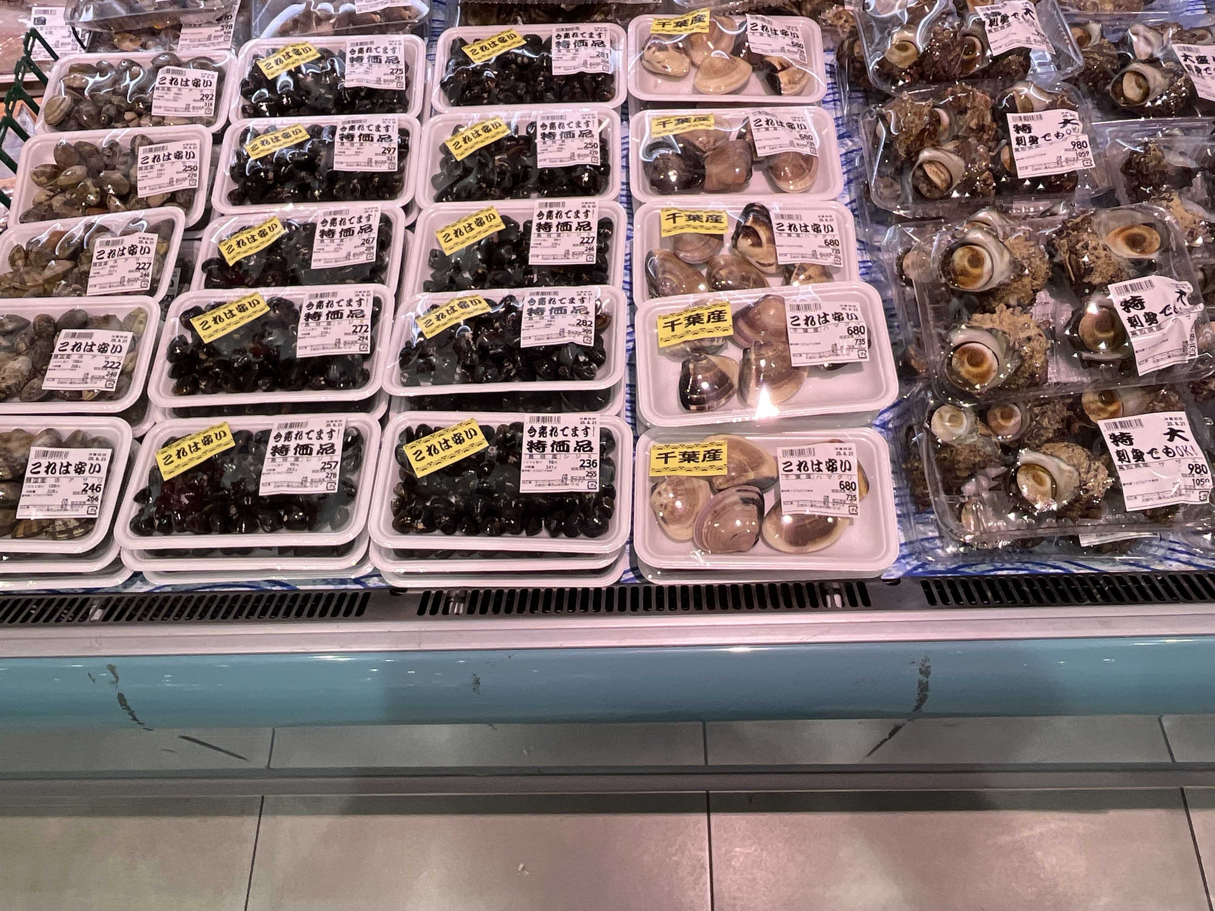 たこ一 