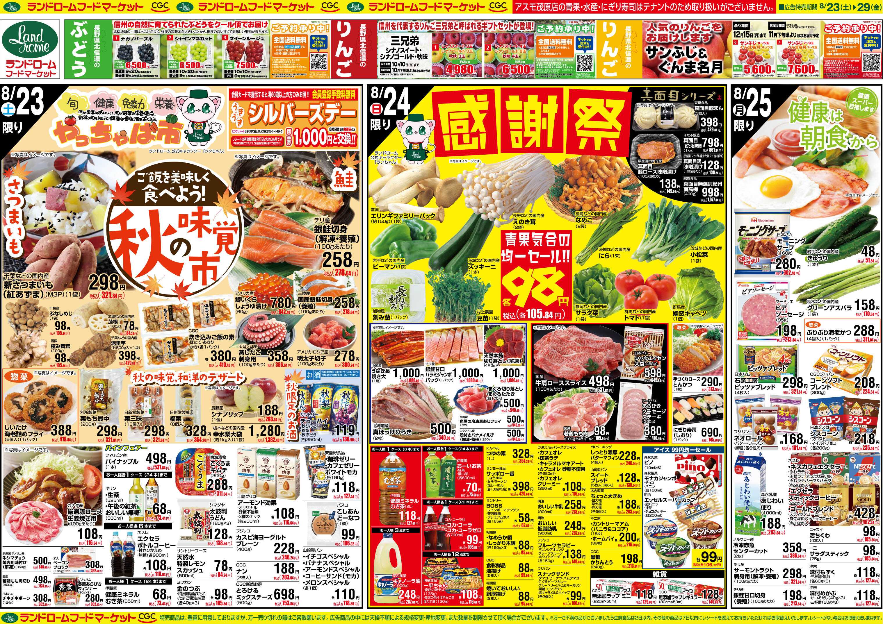 ランドローム 8/23号