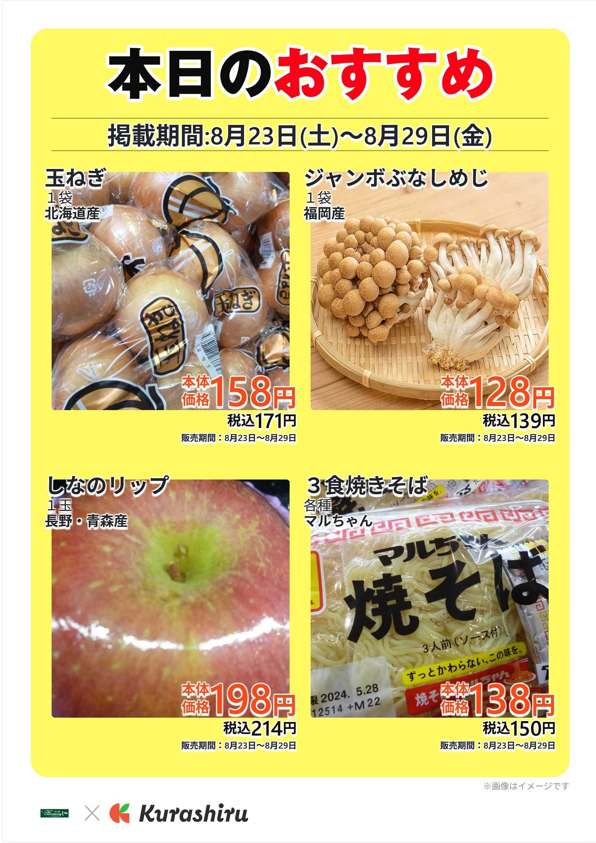 ハーモニー 本日のおすすめ