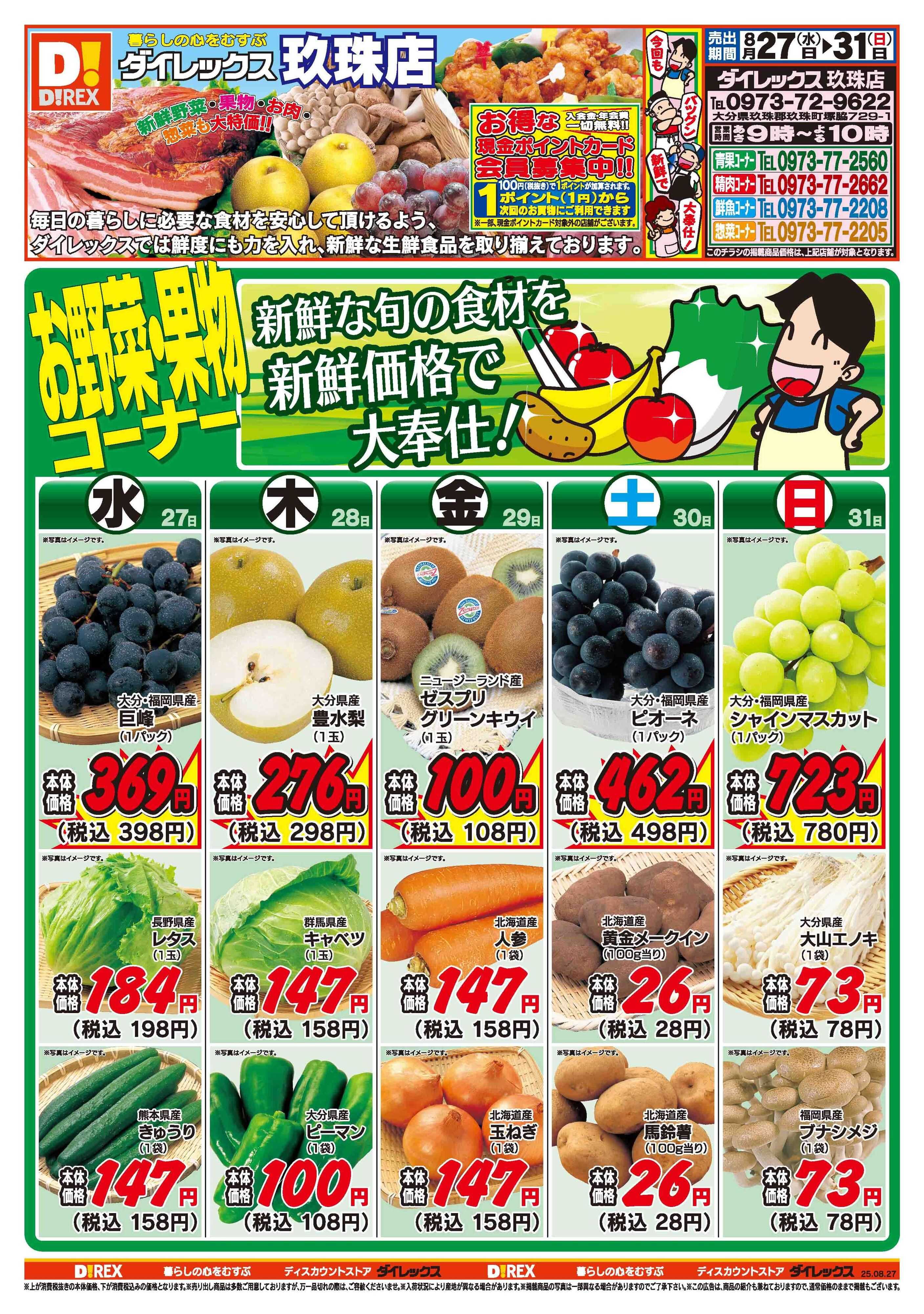 ダイレックス 