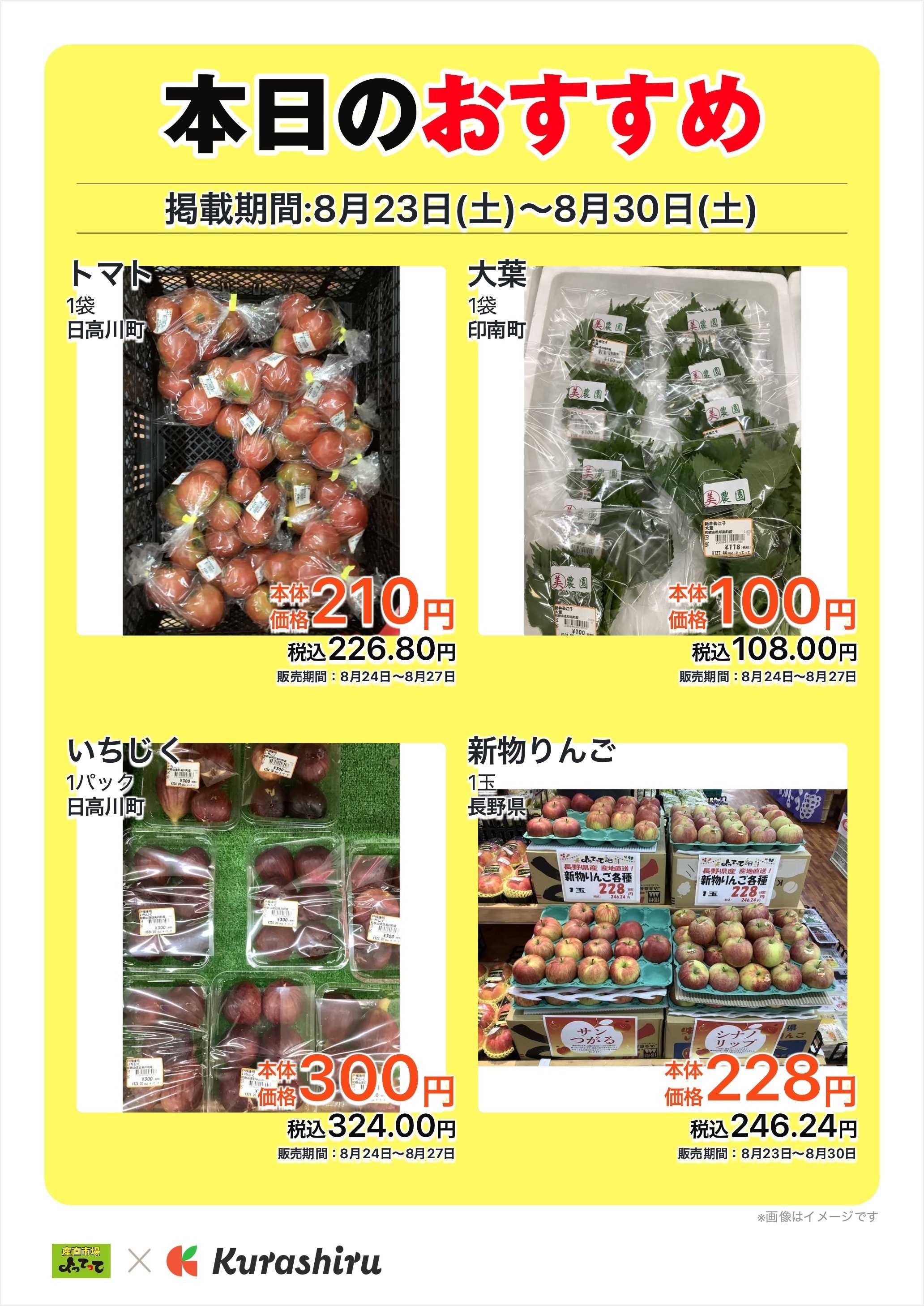 産直市場よってって 本日のおすすめ