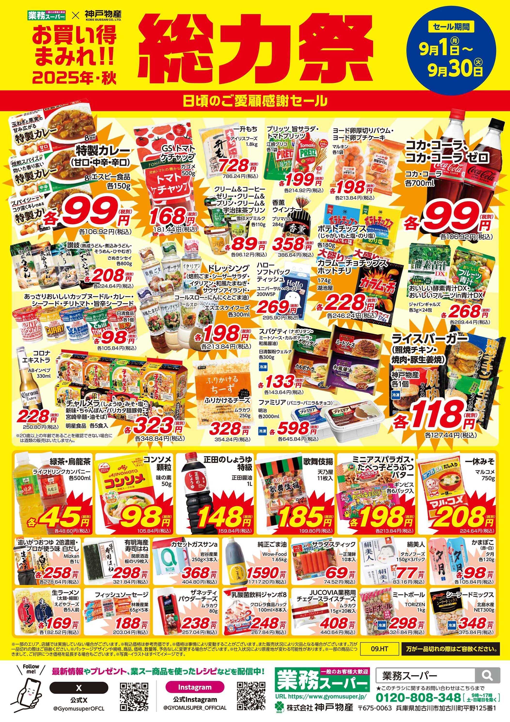 エスポット 神奈川県地方_9.1-30_総力祭チラシ_B