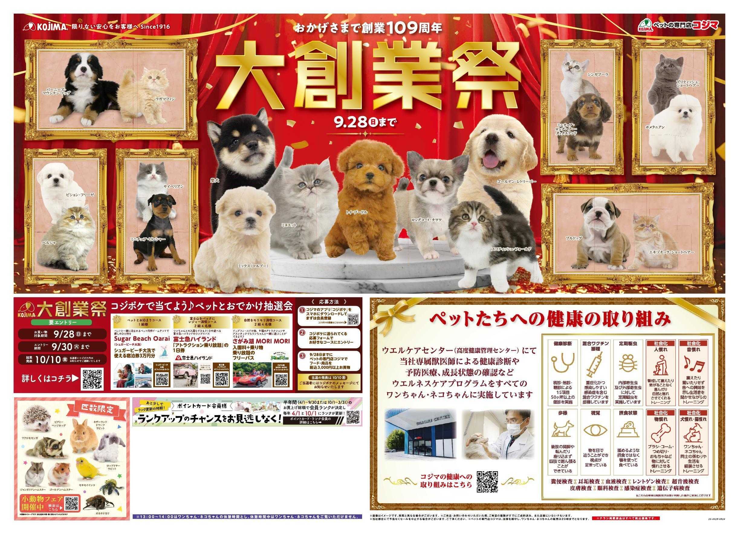 ペットの専門店コジマ 大創業祭