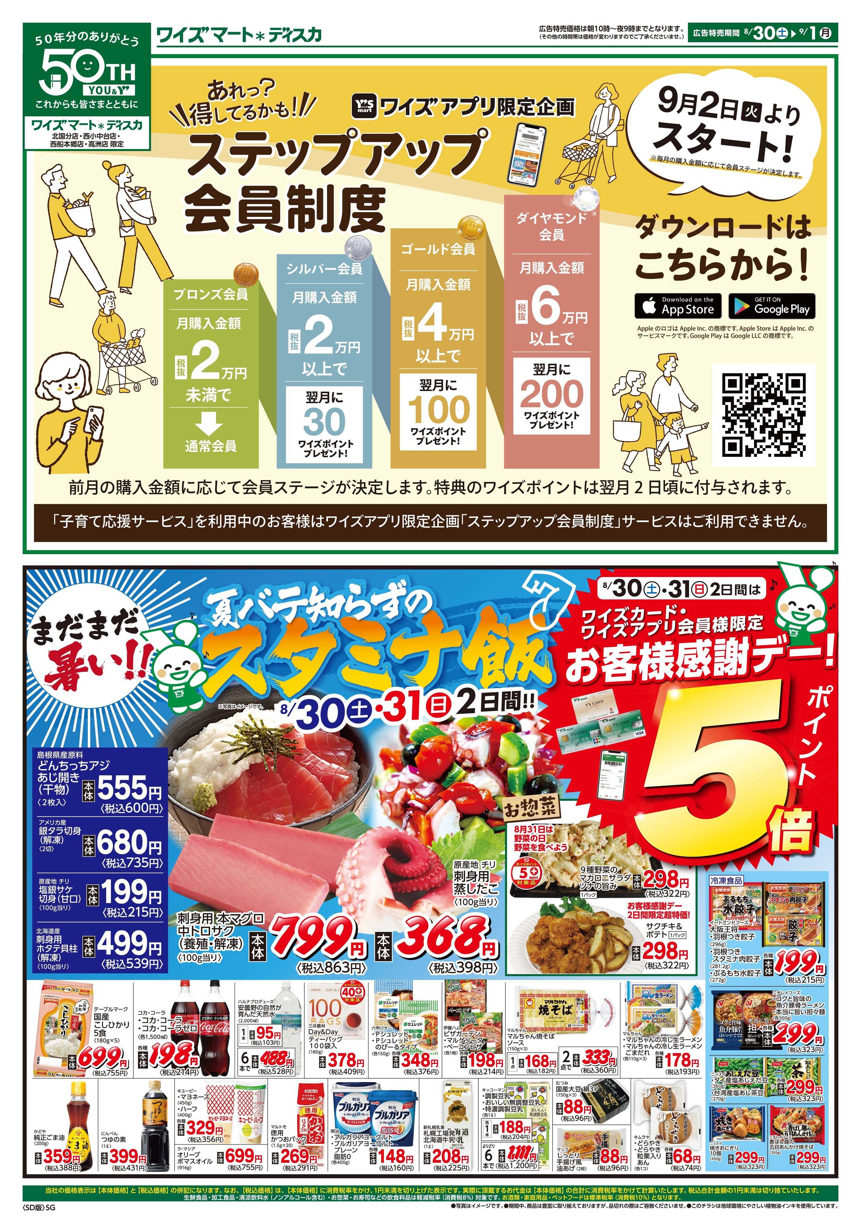 ワイズマートディスカ 