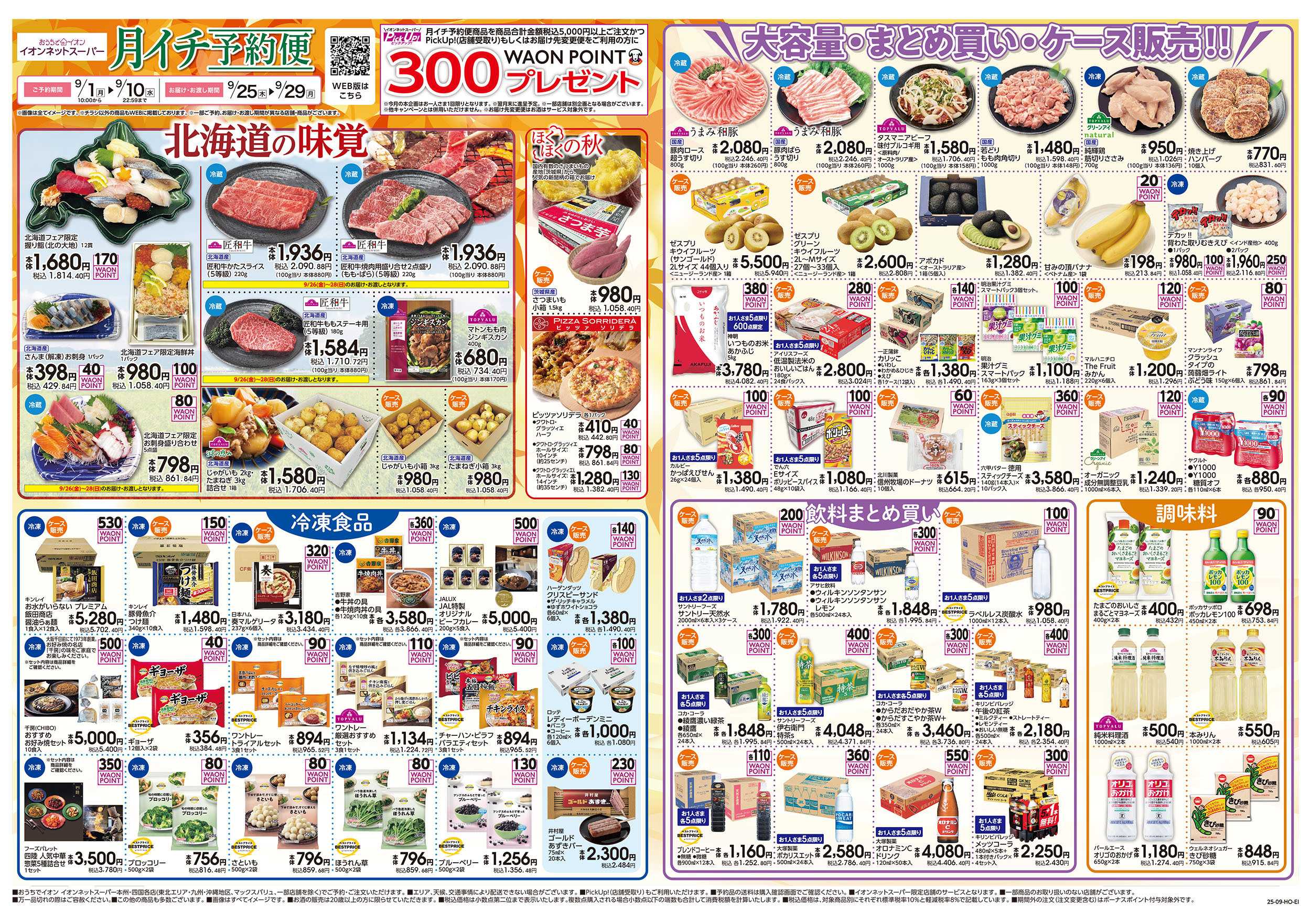 イオン 9/1号　ネットスーパー月イチ予約便：表面