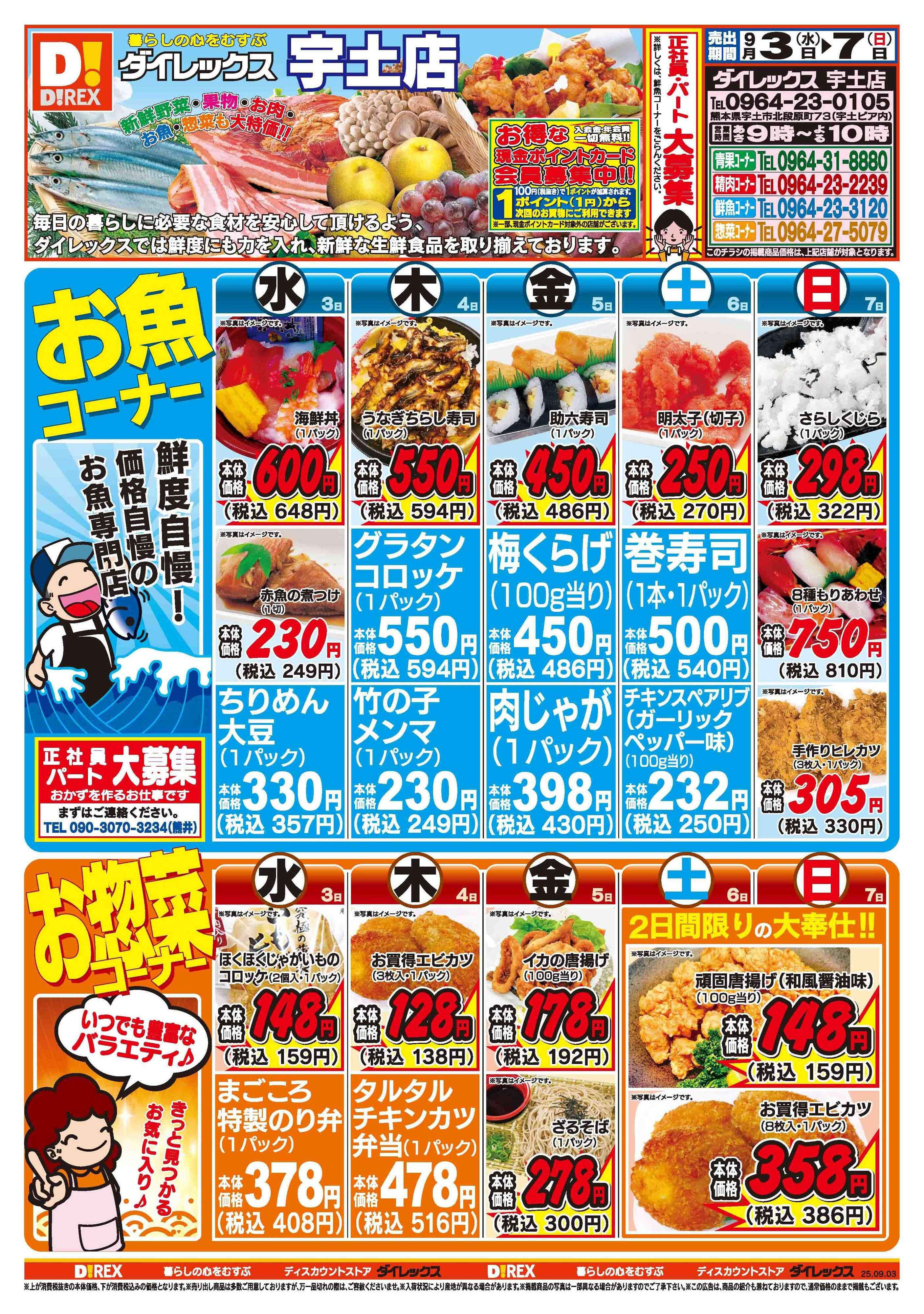 ダイレックス 