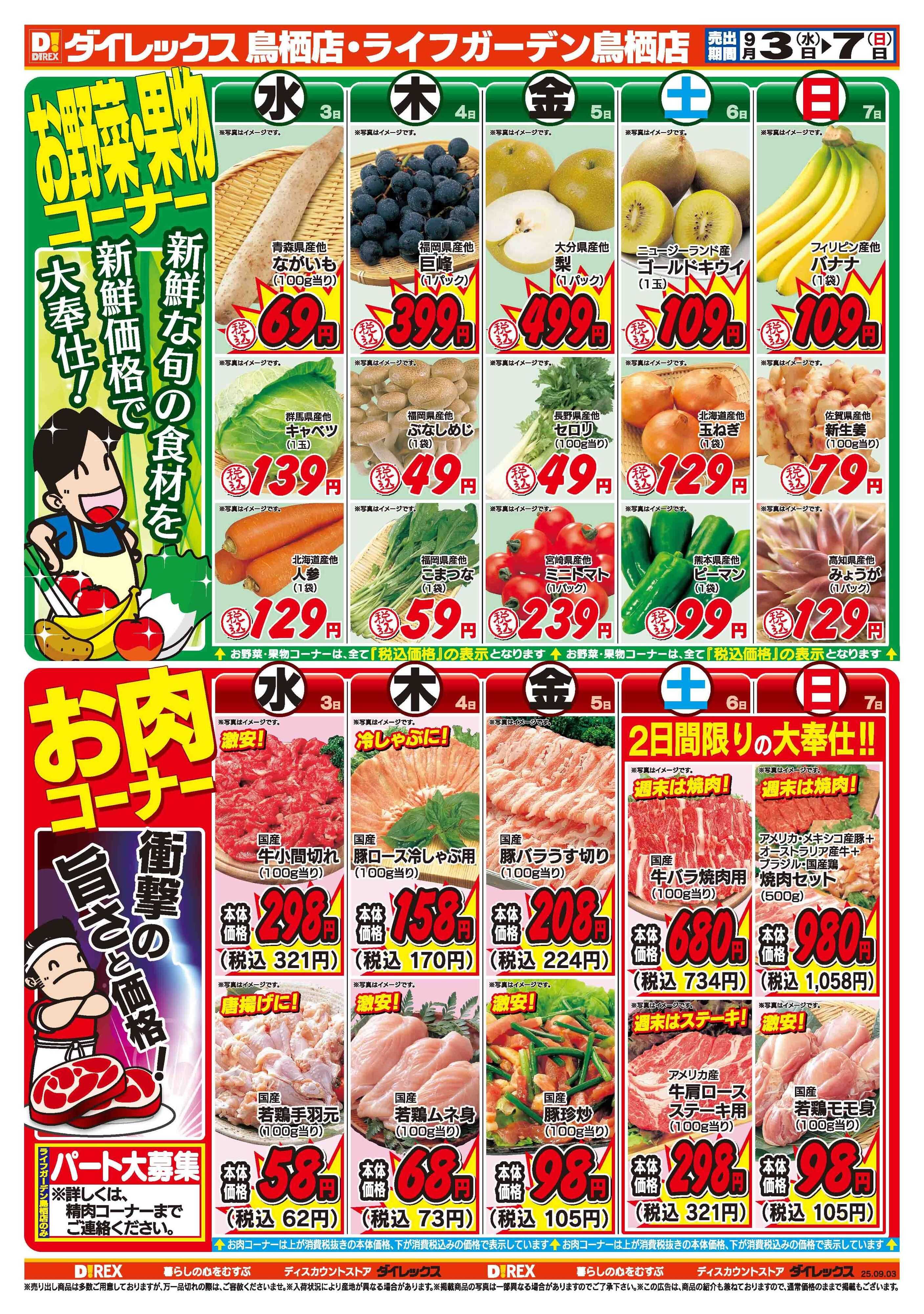ダイレックス 