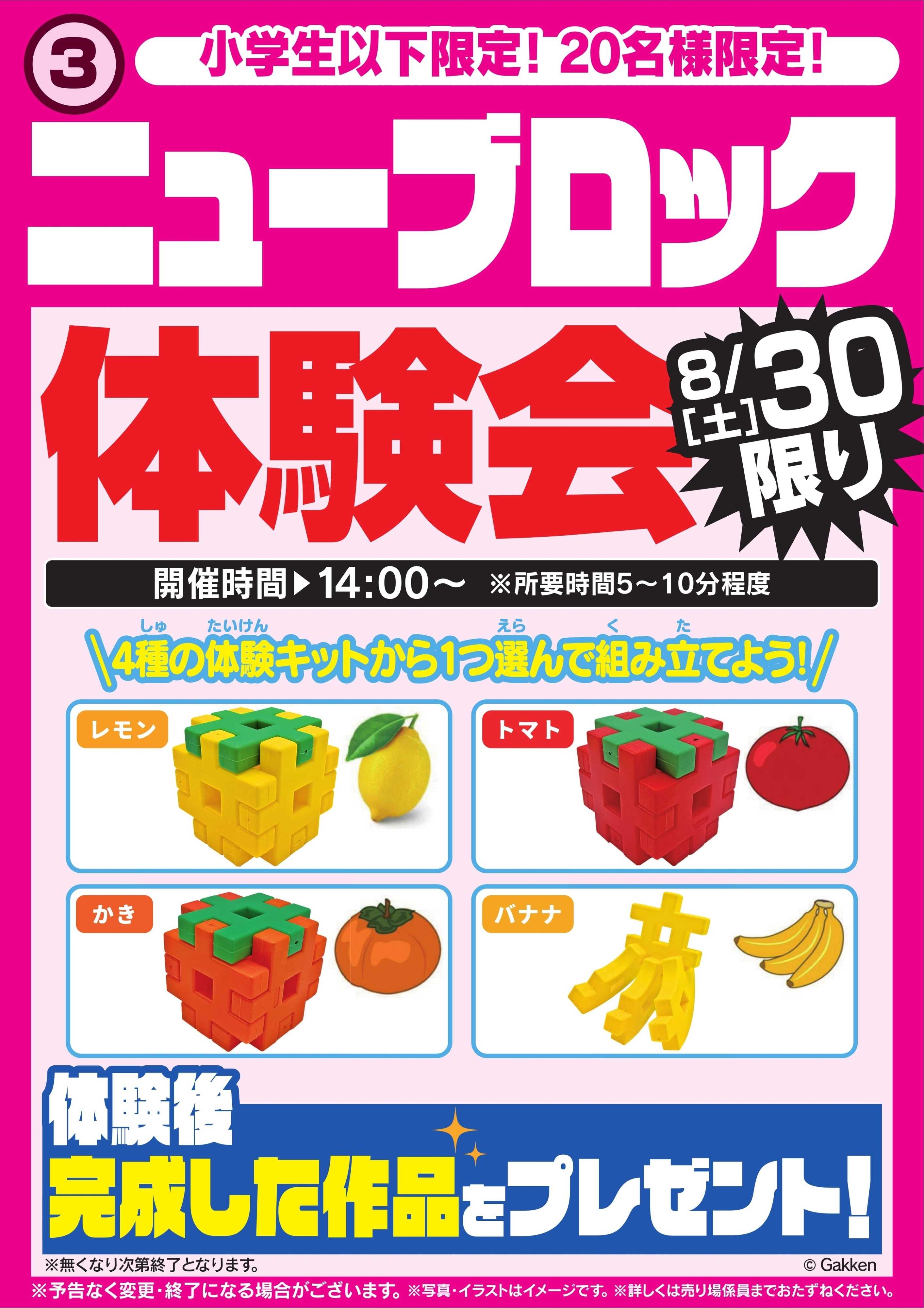 ヤマダデンキ ニューブロック体験会　8/30限り