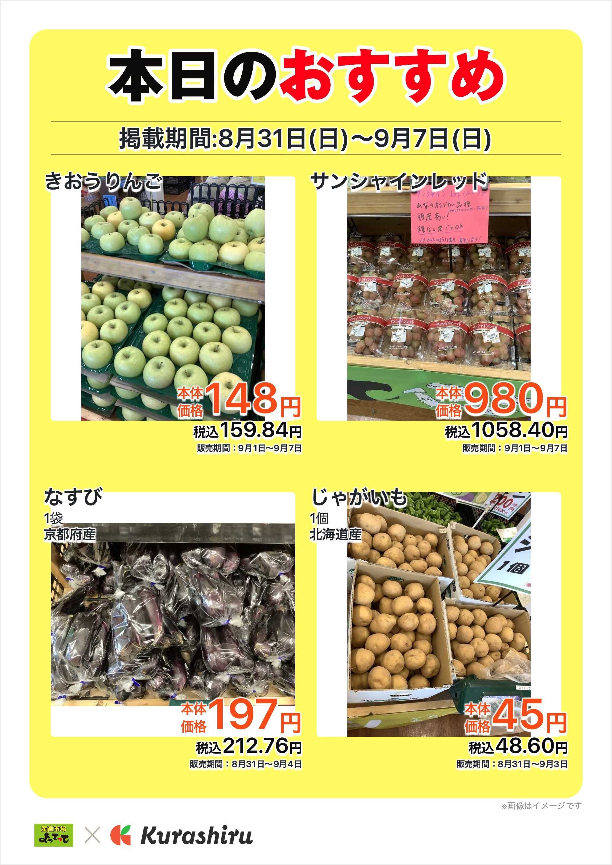 産直市場よってって 本日のおすすめ