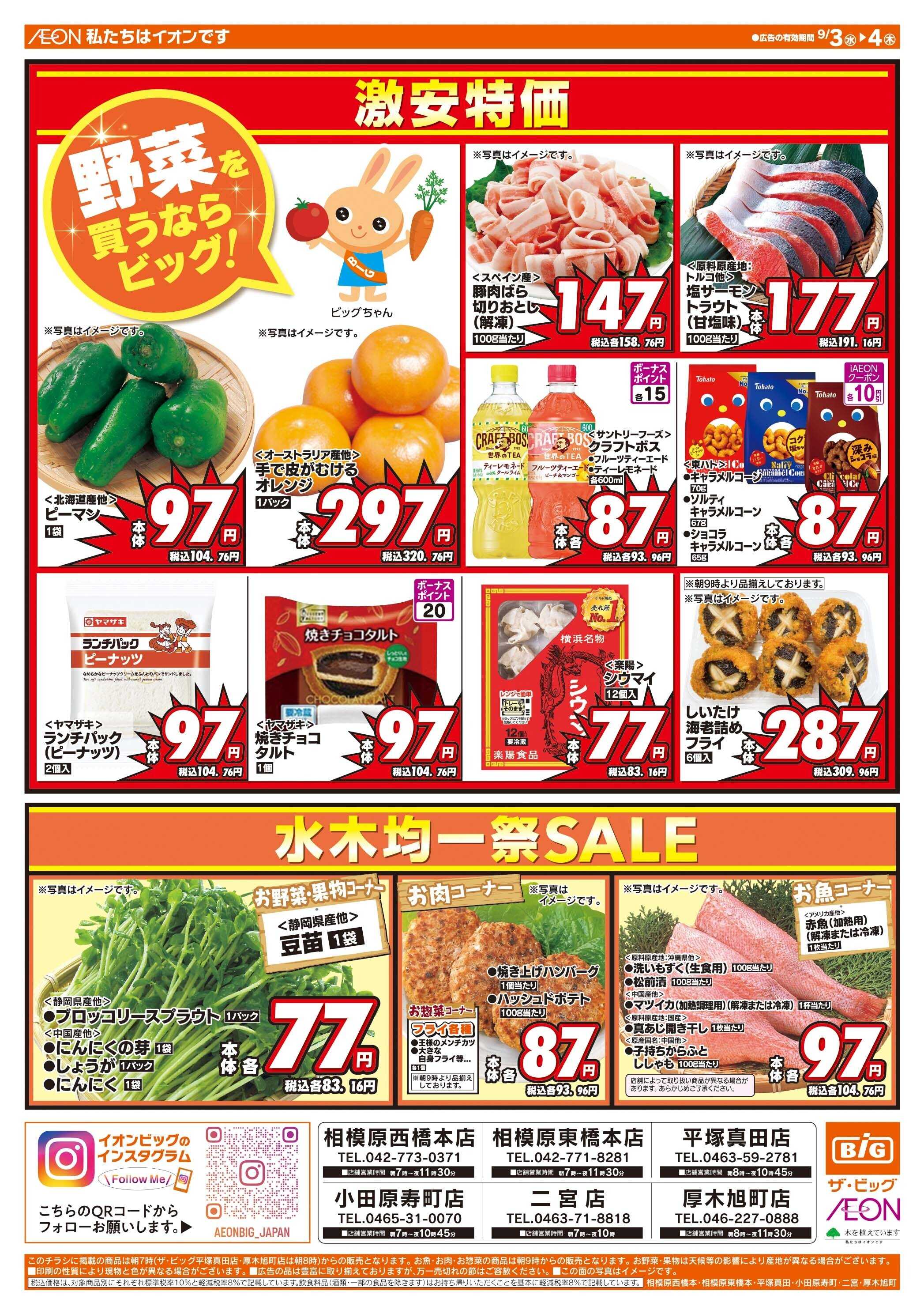 ザ・ビッグ 毎週水曜木曜はお買得均一祭！